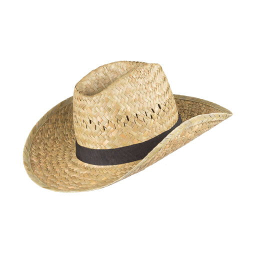 Arizona Man - natur