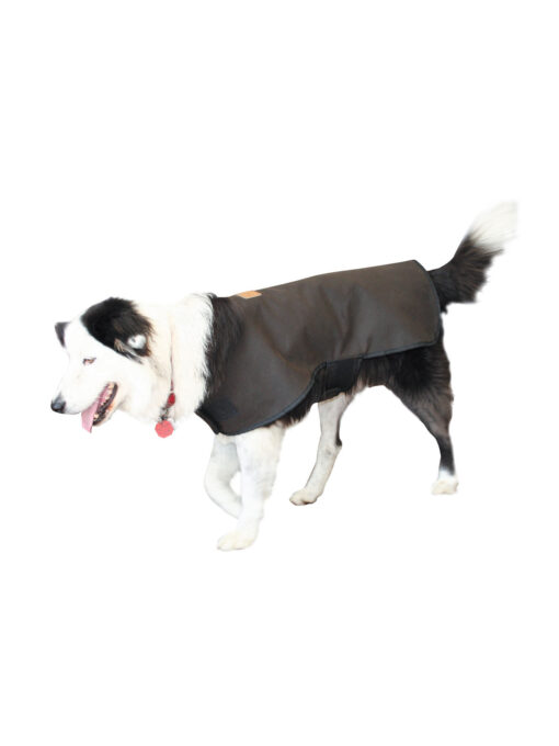 DRI TEC Dog Coat brown L